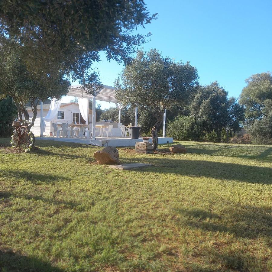 B&B Gli Ulivi 산타나아레시 외부 사진