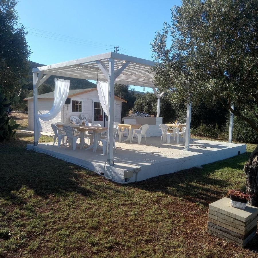 B&B Gli Ulivi 산타나아레시 외부 사진